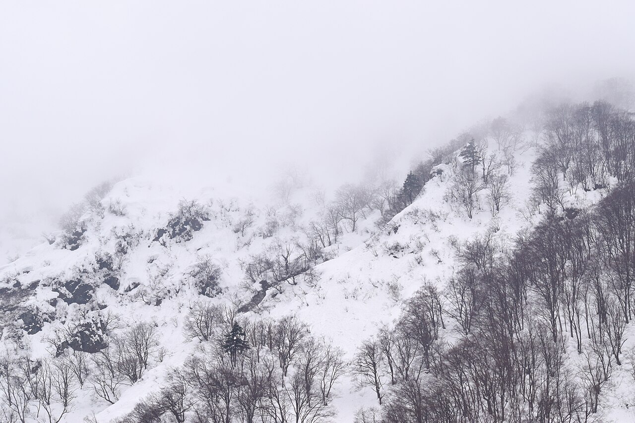 Niigata Prefecture